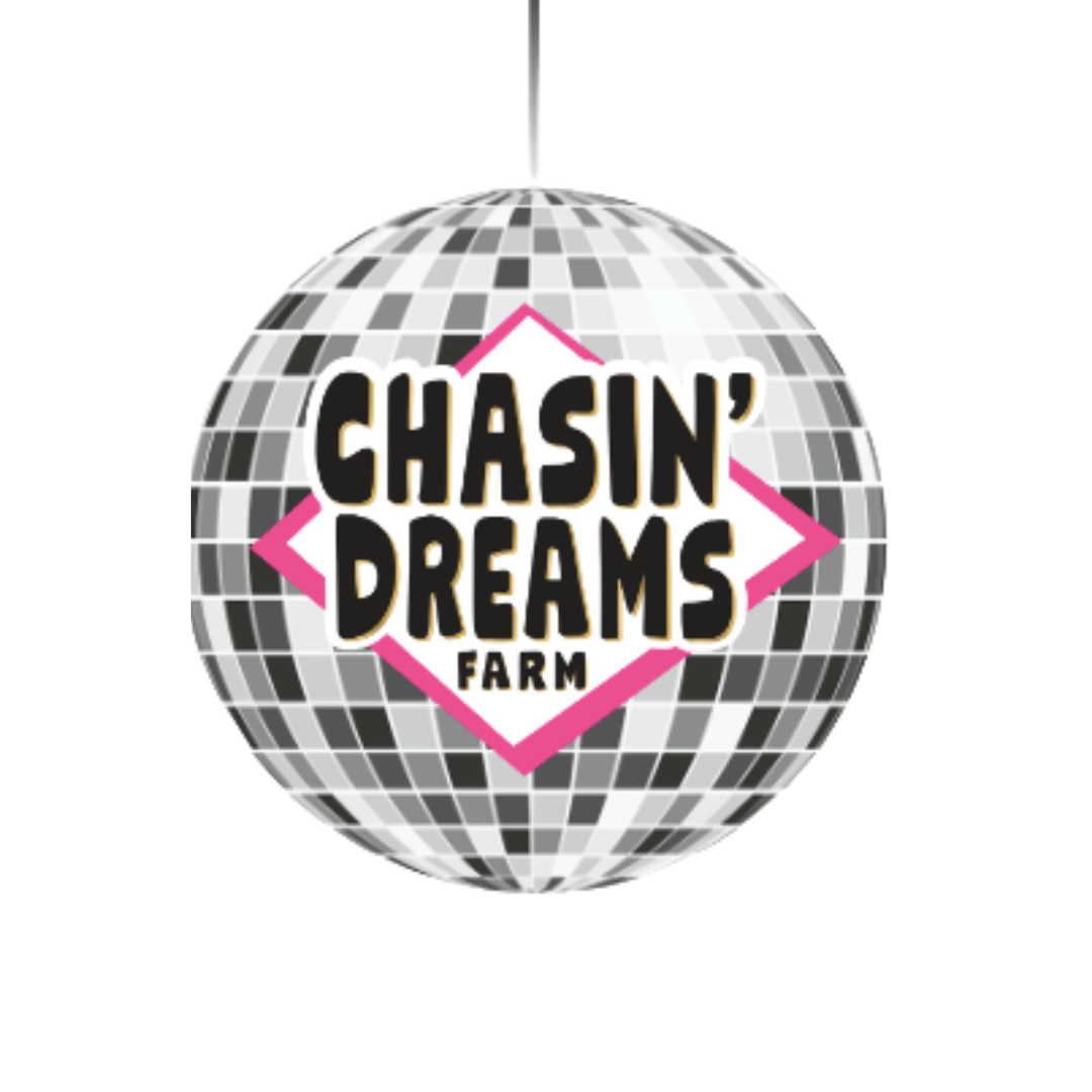 Disco ball with the Chasin' Dreams Farm logo in the middle