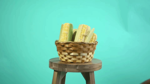 A moving image on a blue background. An arm knocks over a basket of shucked corn off of a stool.