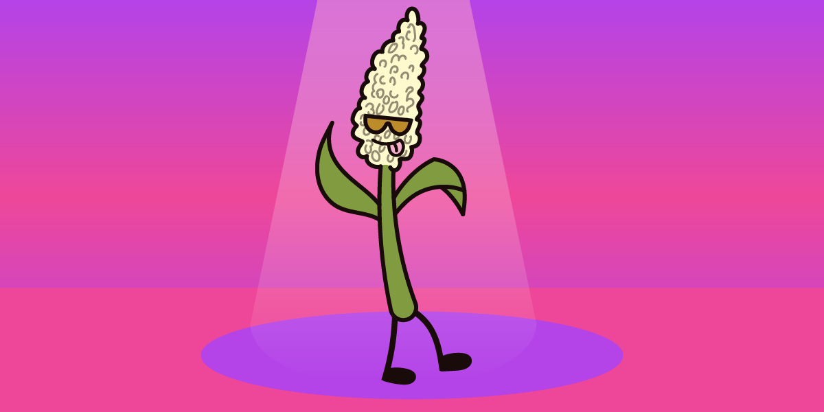 Cartoon sorghum character on a purple stage with a pink background and spotlight shinning down.