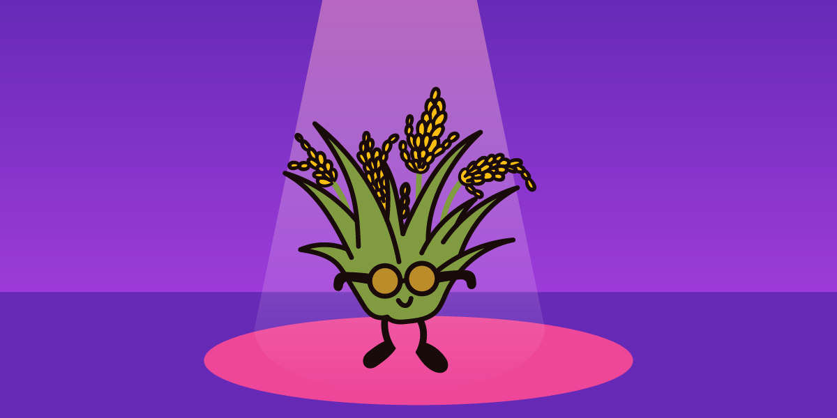 Cartoon brown rice character on a pink stage with a purple background and spotlight shinning down.